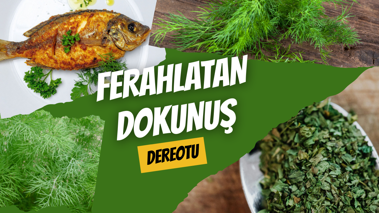 Ferahlatan Dokunuş: Dereotu