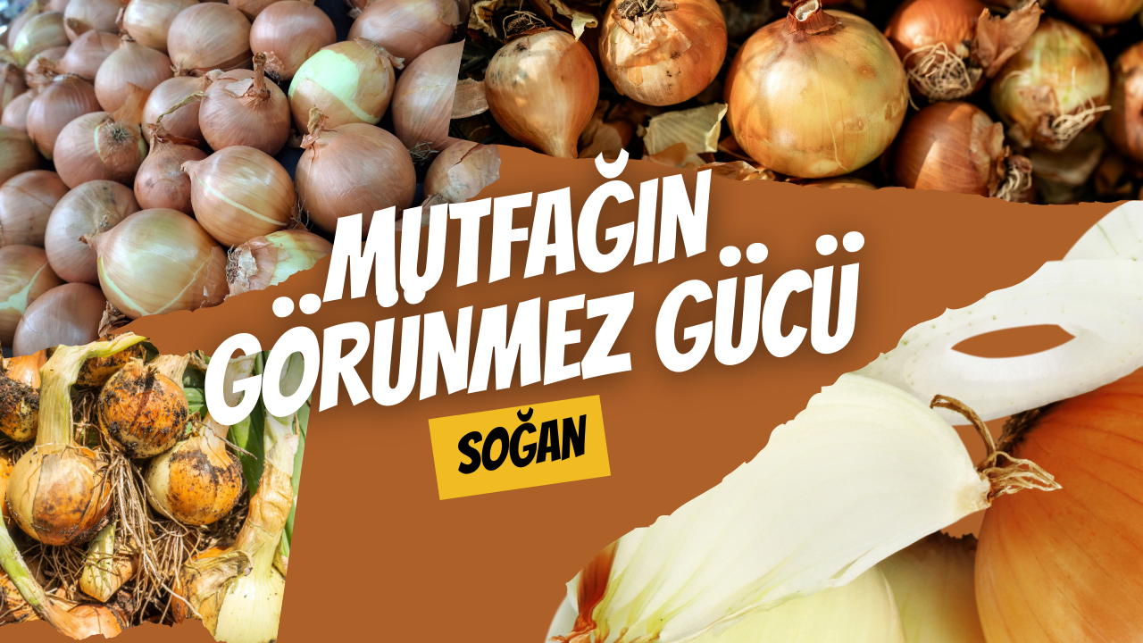 Mutfağın Görünmez Gücü: Soğan