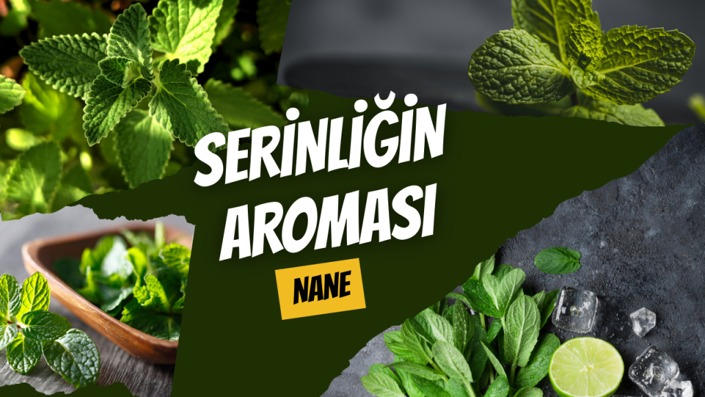Serinliğin Aroması - Nane