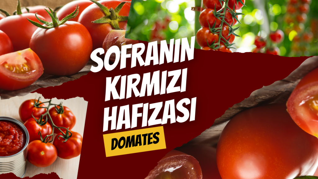 Sofranın Kırmızı Hafızası - Domates