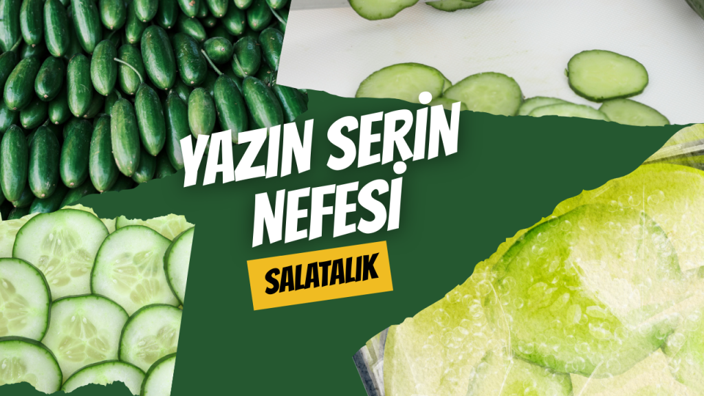 Yazın Serin Nefesi - Salatalık