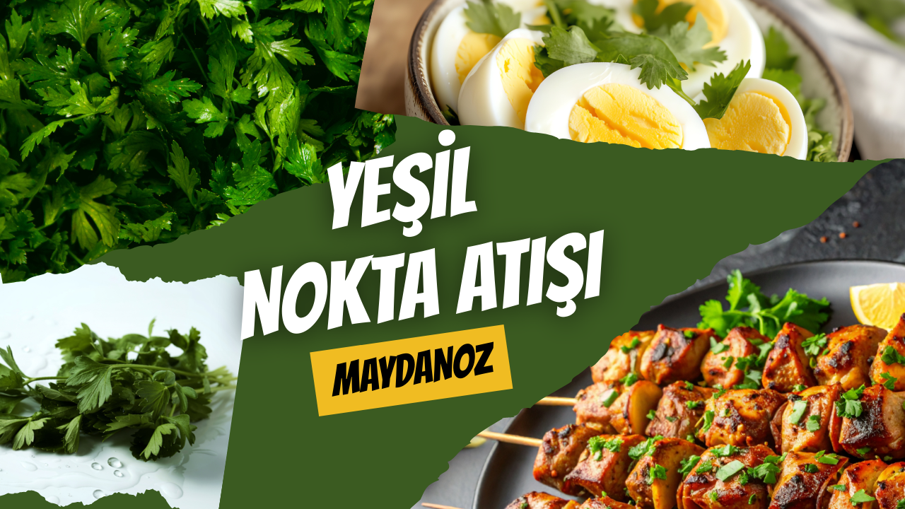 Yeşil Nokta Atışı: Maydanoz