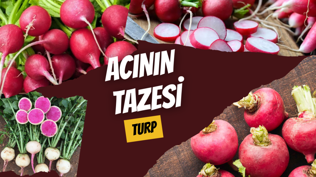 Acının Tazesi - Turp