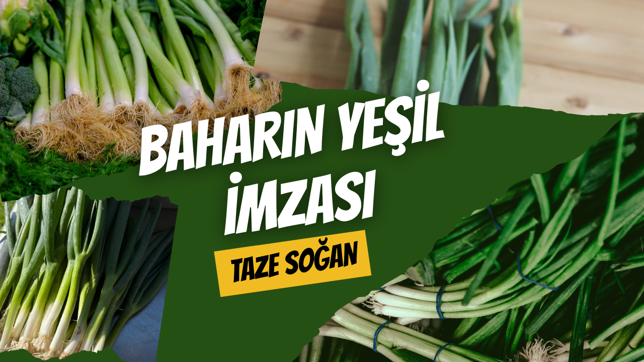 Baharın Yeşil İmzası: Taze Soğan