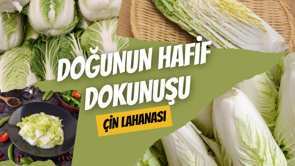 Doğunun Hafif Dokunuşu - Çin Lahanası