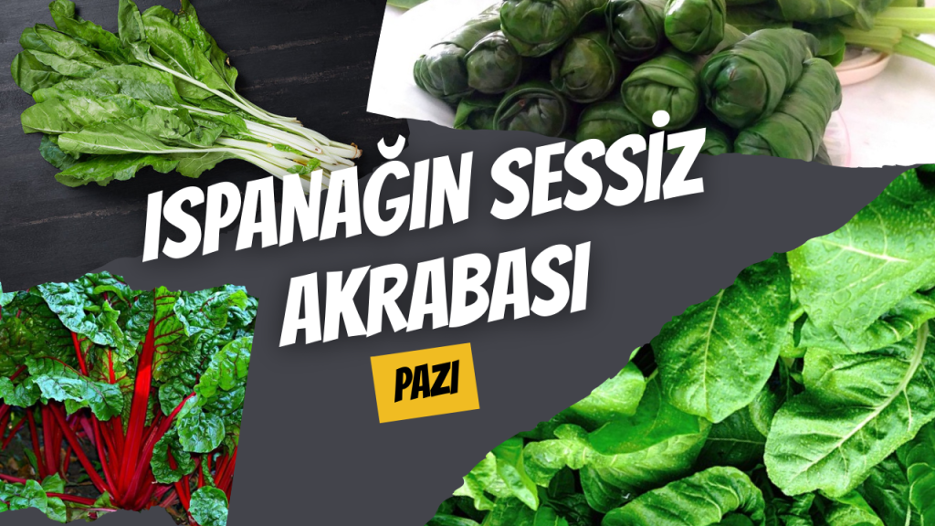 Ispanağın Sessiz Akrabası - Pazı