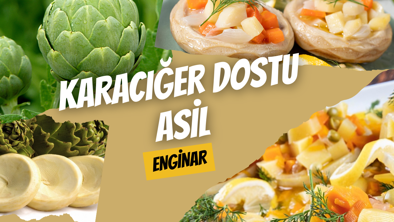 Karaciğer Dostu Asil: Enginar