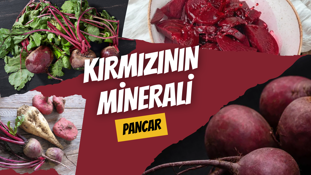 Kırmızının Minerali: Pancar