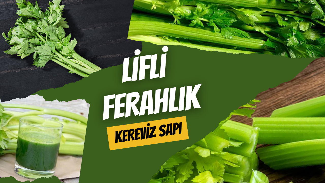 Lifli Ferahlık: Kereviz Sapı