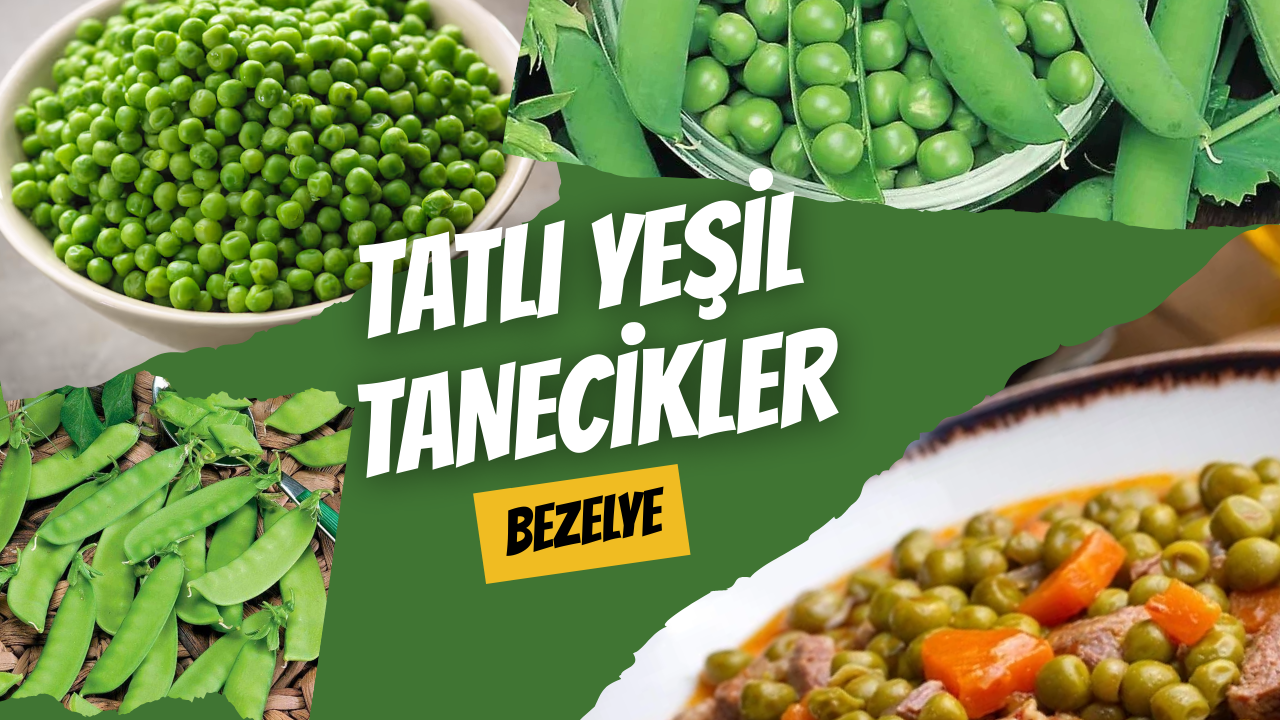 Tatlı Yeşil Tanecikler: Bezelye