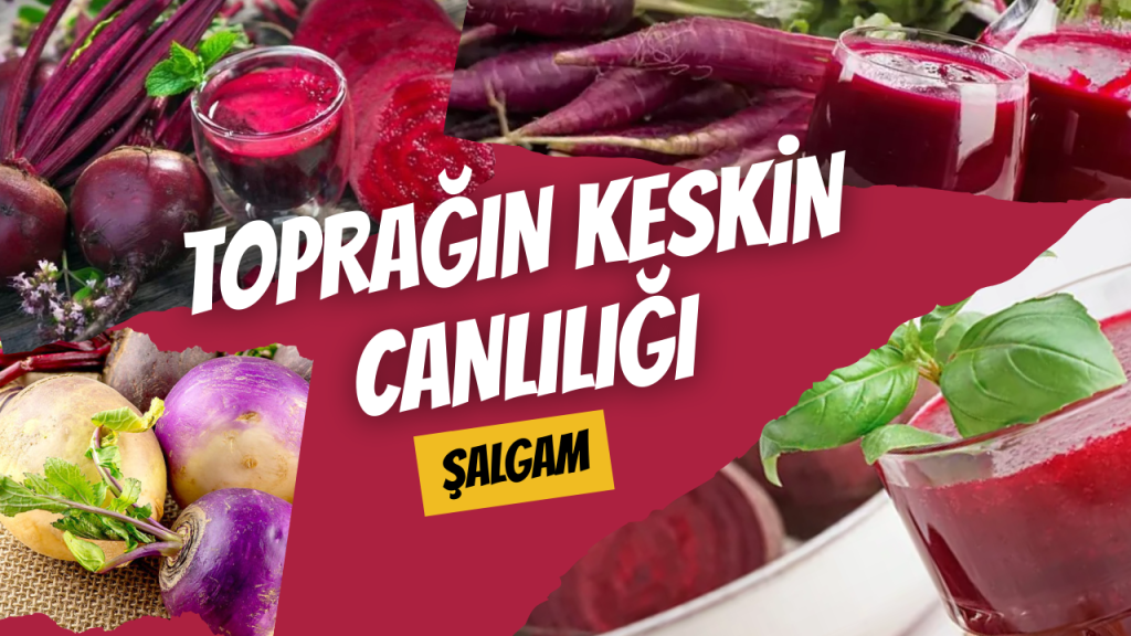 Toprağın Keskin Canlılığı - Şalgam