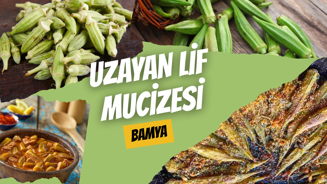 Uzayan Lif Mucizesi: Bamya