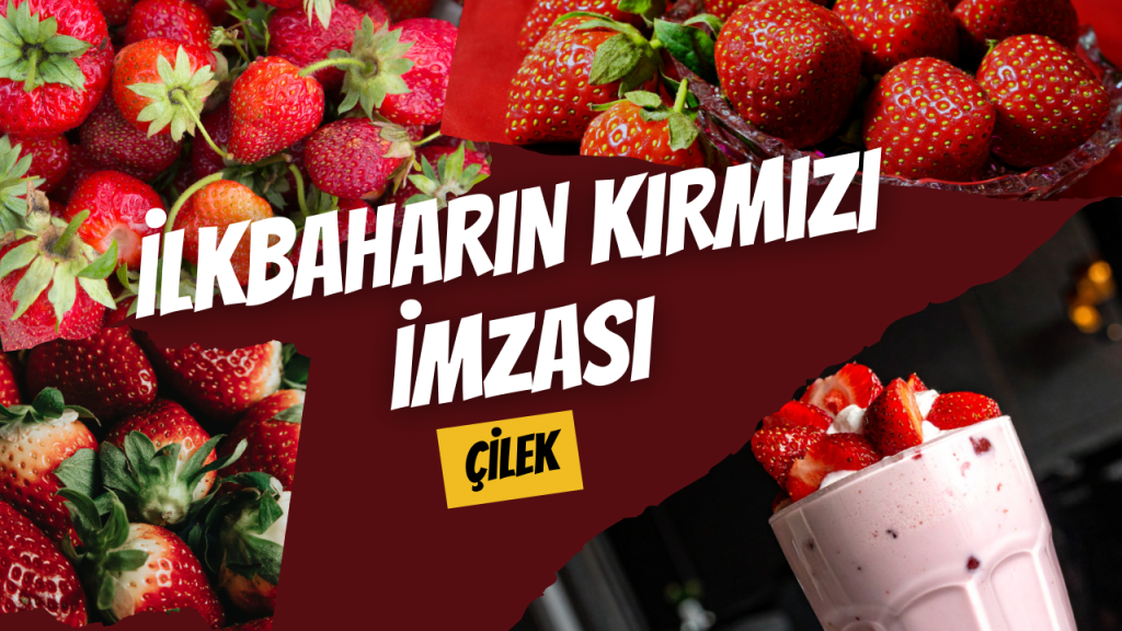 İlkbaharın Kırmızı İmzası Çilek