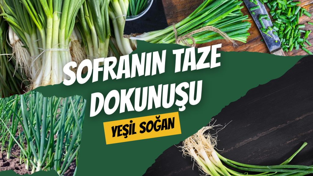 Sofranın Taze Dokunuşu Yeşil Soğan