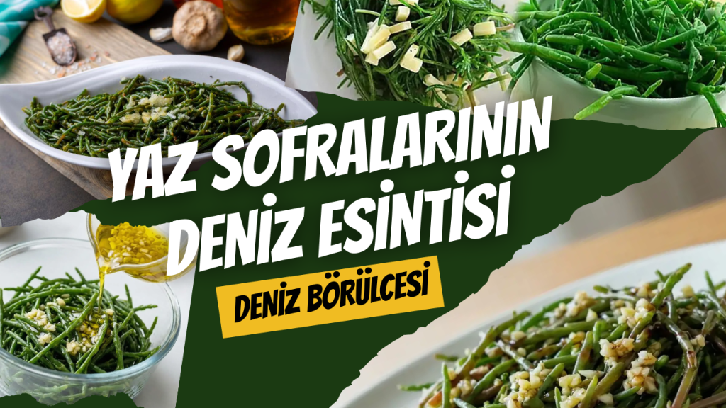 Yaz Sofralarının Deniz Esintisi Deniz Börülcesi