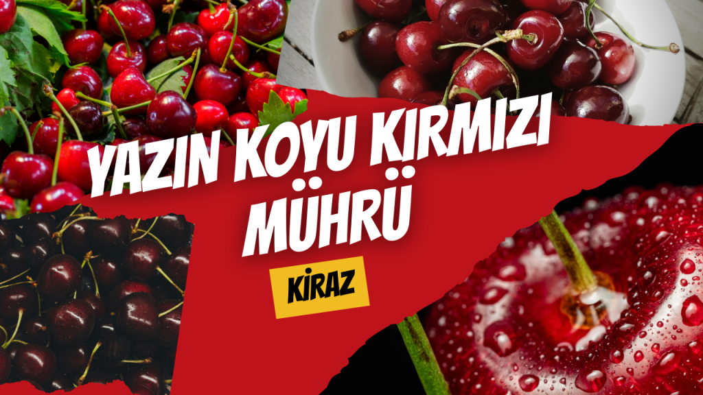 Yazın Koyu Kırmızı Mührü Kiraz